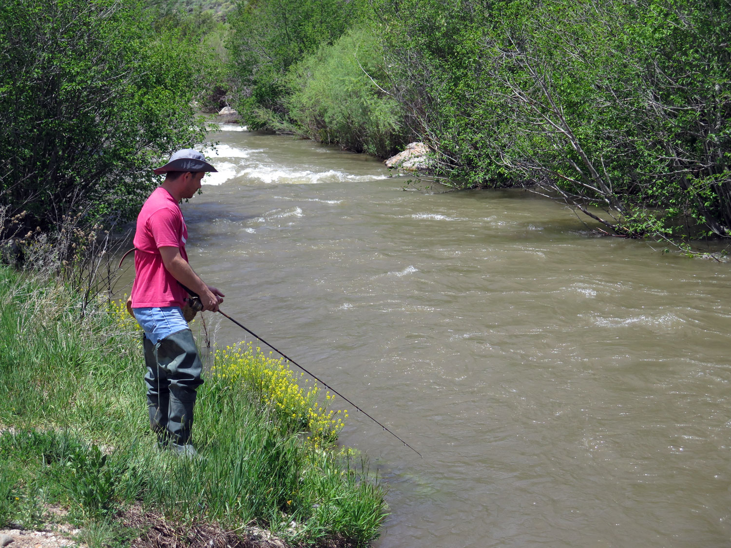 Fishing Visit Questa
