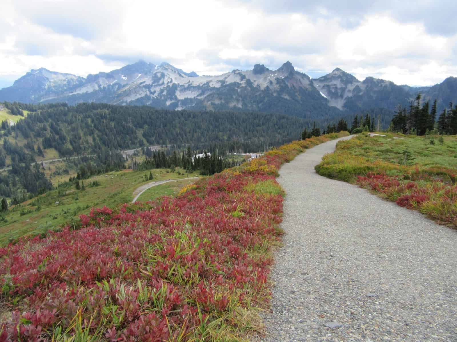 Alta Vista Trail Visit Rainier
