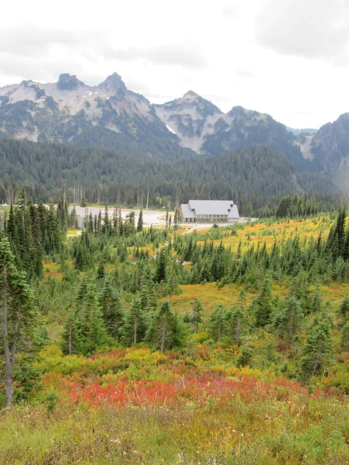 Alta Vista Trail Visit Rainier