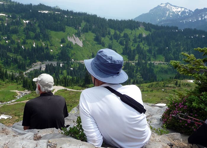 Nisqually Vista / Paradise Flower Trails Visit Rainier