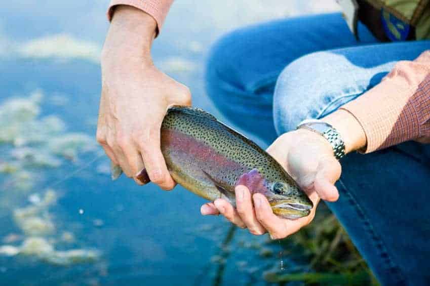 Packwood Lake, Gifford Pinchot NF