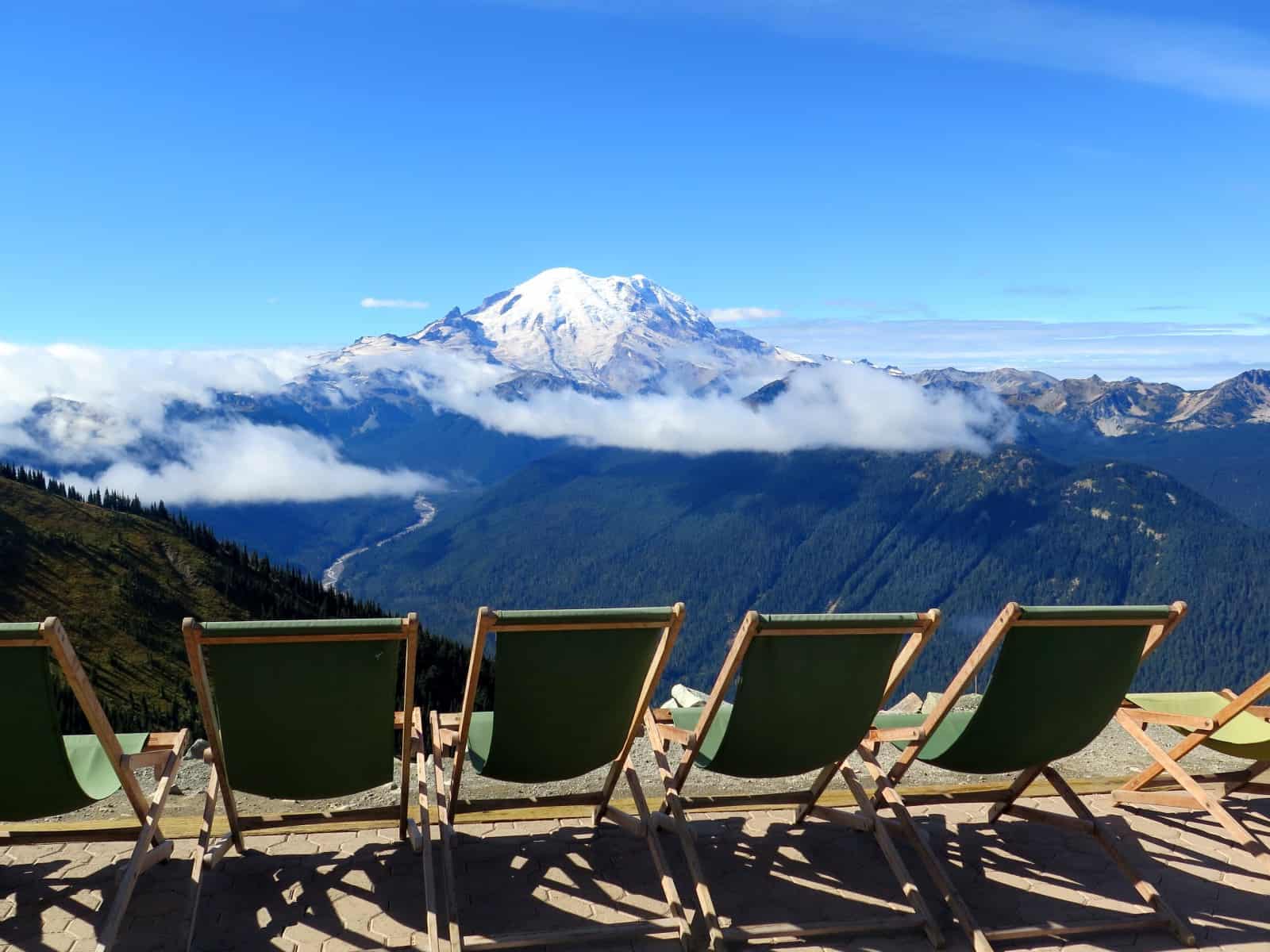 Mt. Rainier Fall Foraging Tour Visit Rainier