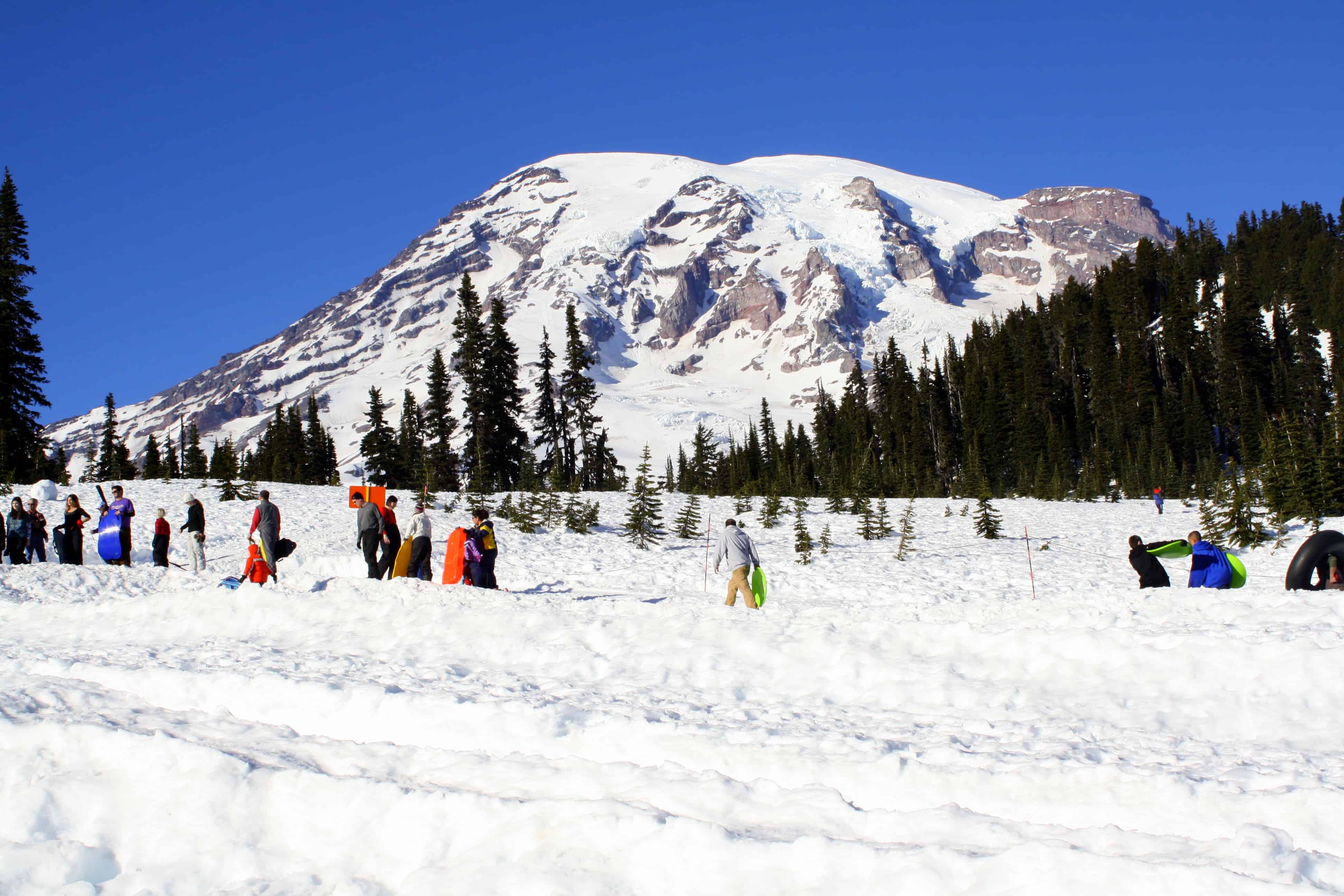 Mt Rainier Paradise Weather at Margaret Jacobs blog