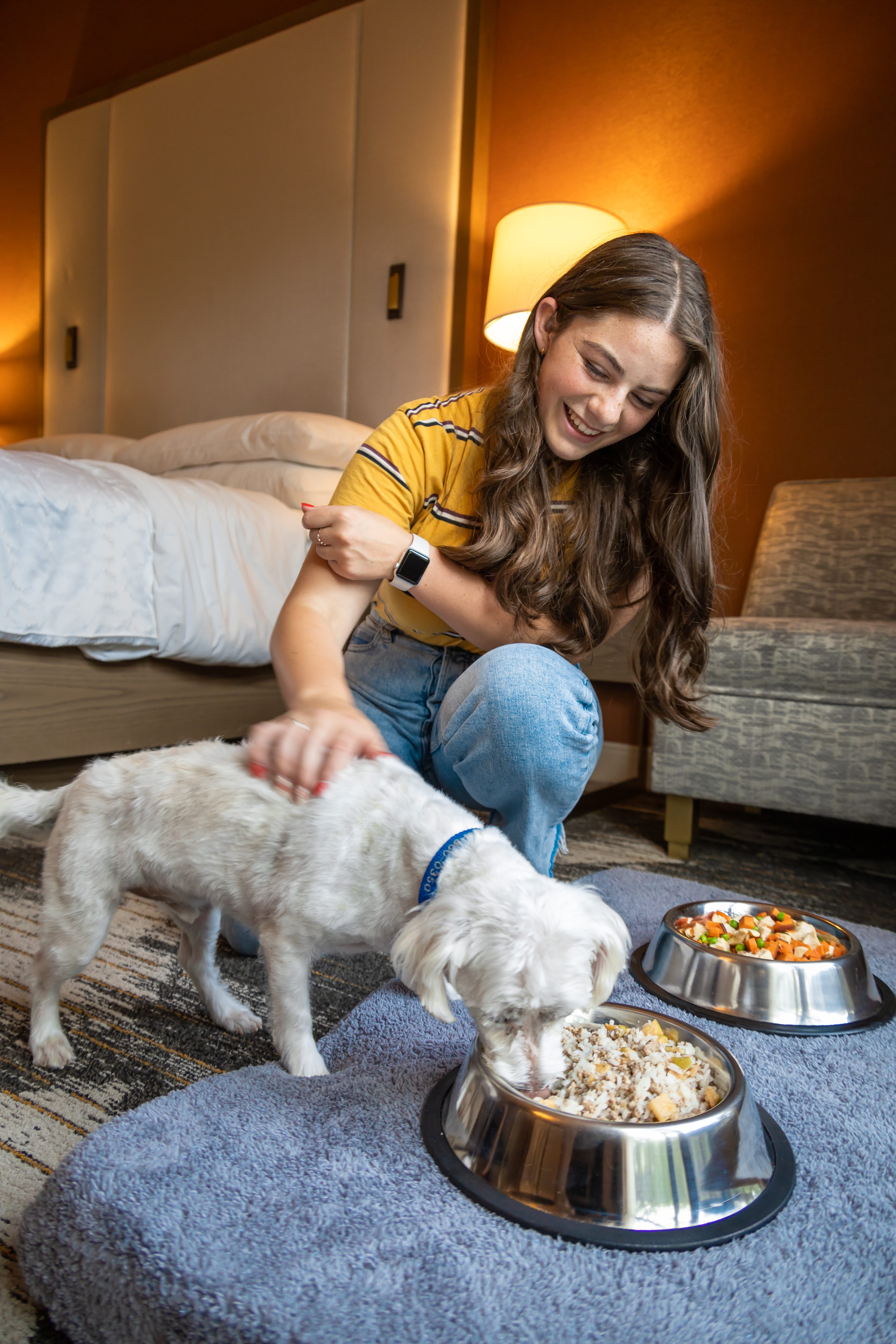 Pet Friendly Hotels and Activities in Redding & Northern California