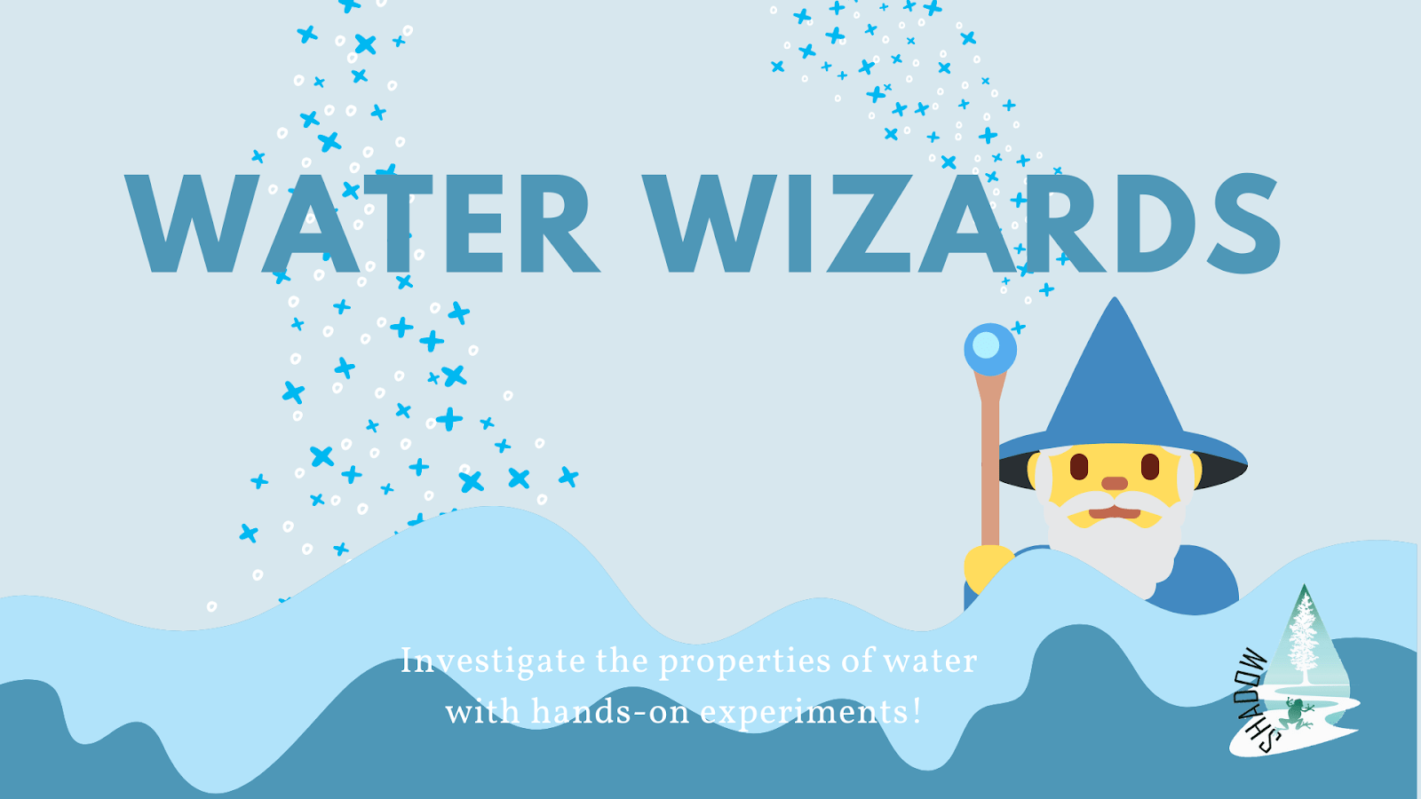 Water Wizards Visit Renton Washington
