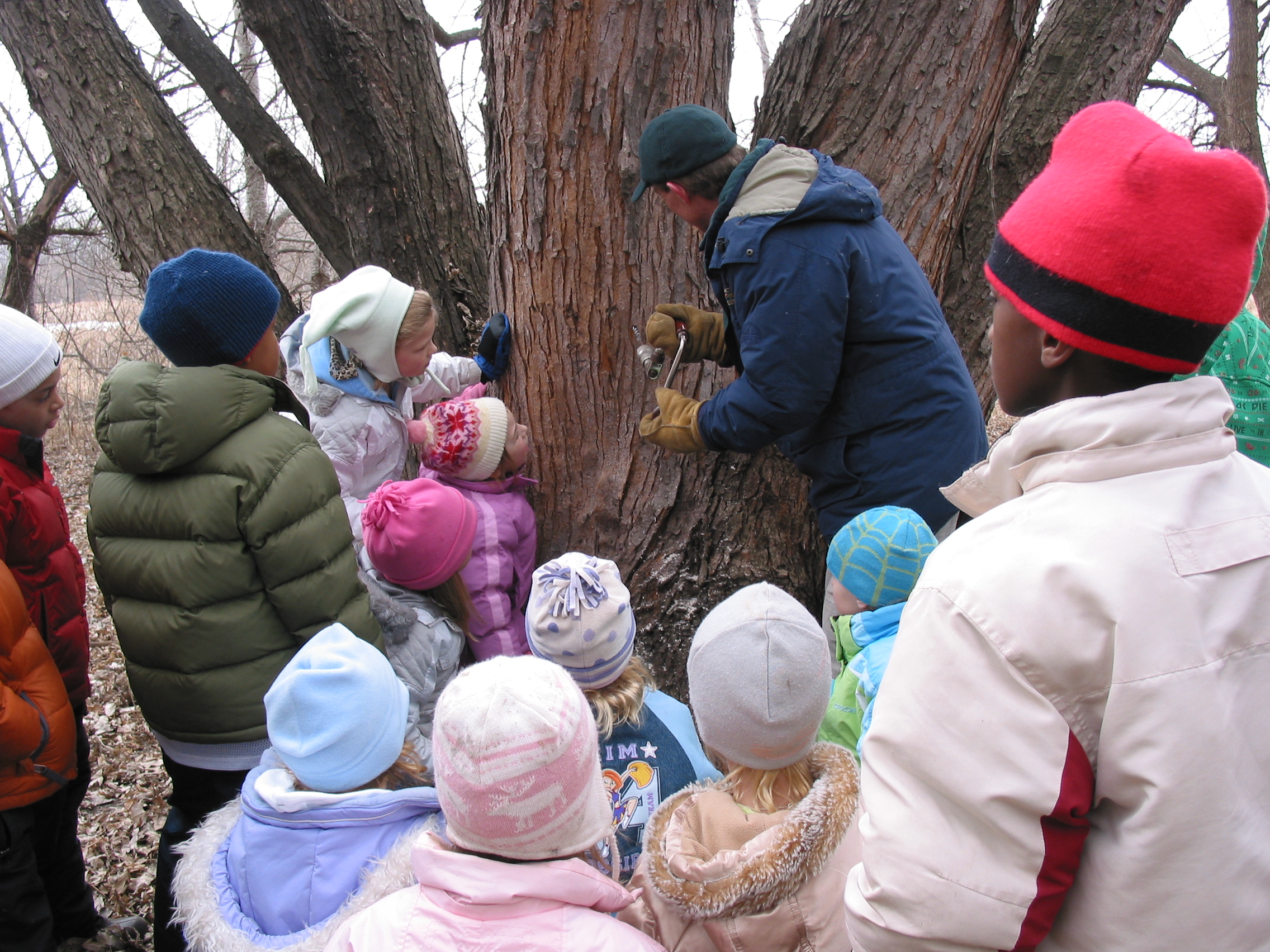 Magical Maple Syrup Richfield Tourism Promotion Board