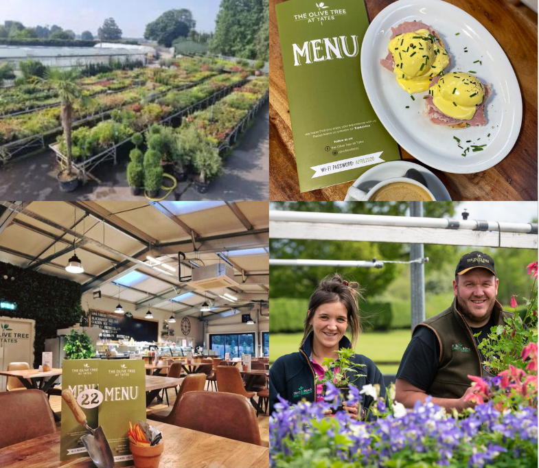 F Tate & Sons & The Olive Tree Visit Ripon