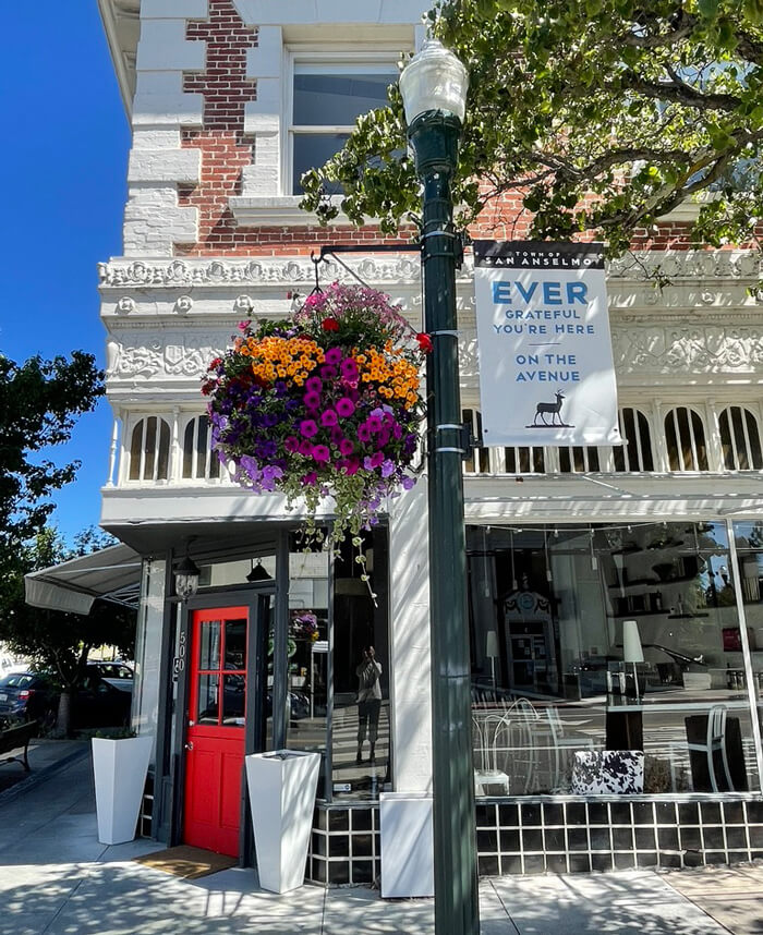 About Visit San Anselmo Towns in Marin County