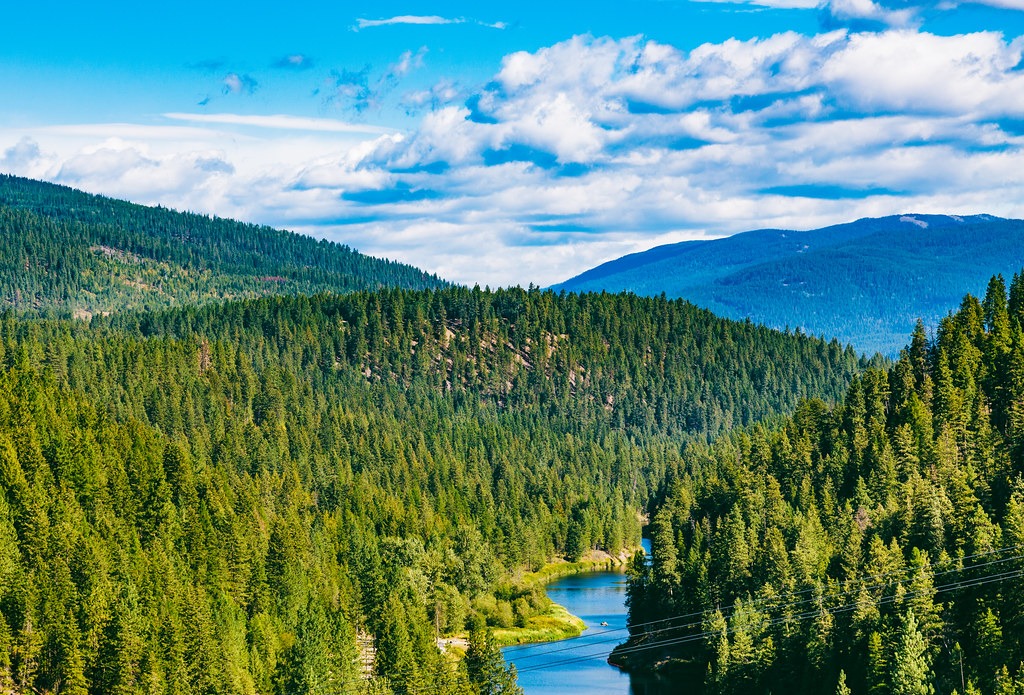 Moyie River Visit Sandpoint