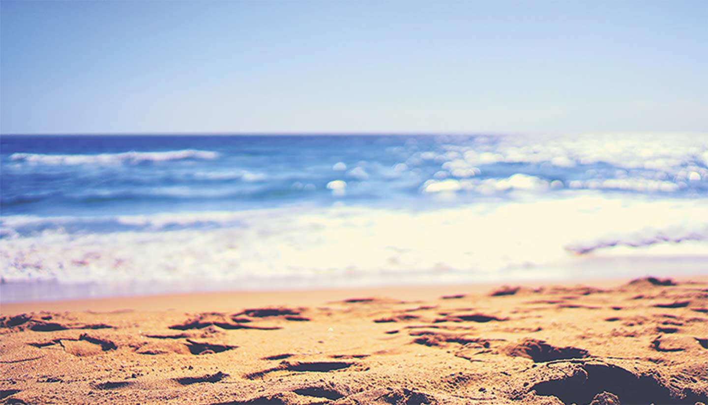 beach Visit San Simeon