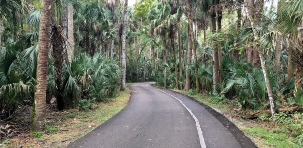 Sebring Fl 2023 Free Events Music in the Park Smokehouse Visit Sebring