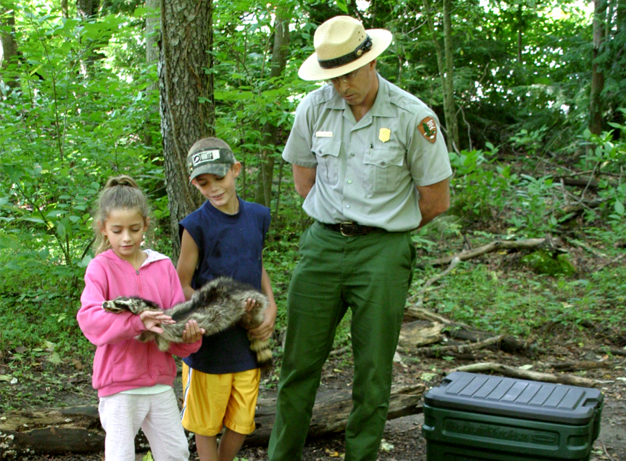 Hiking in Sevierville, TN