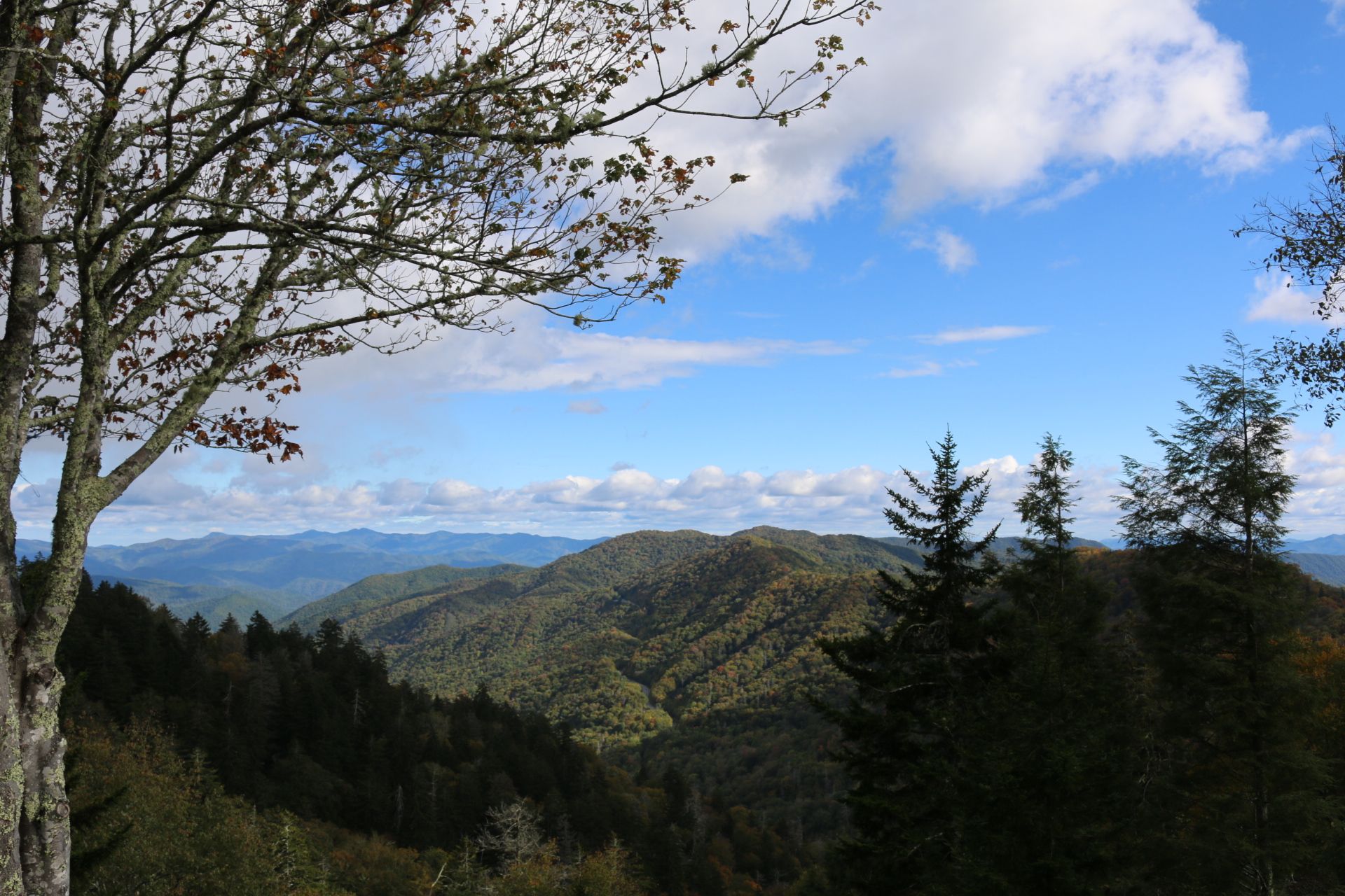 Explore What’s New in Sevierville this Year Sevierville, Tennessee