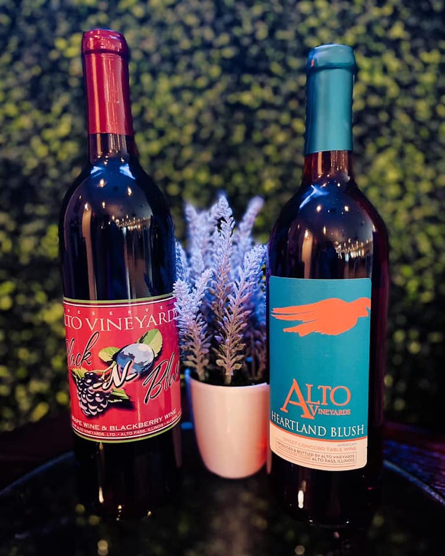 Alto Vineyards visitSI