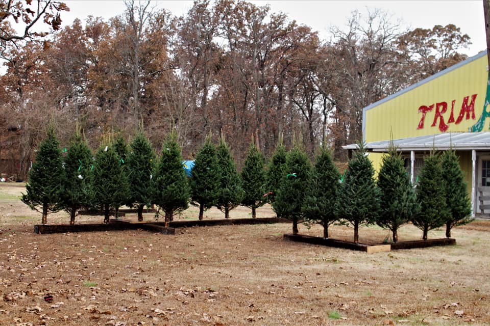 Wiswell’s Christmas Tree Farm visitSI