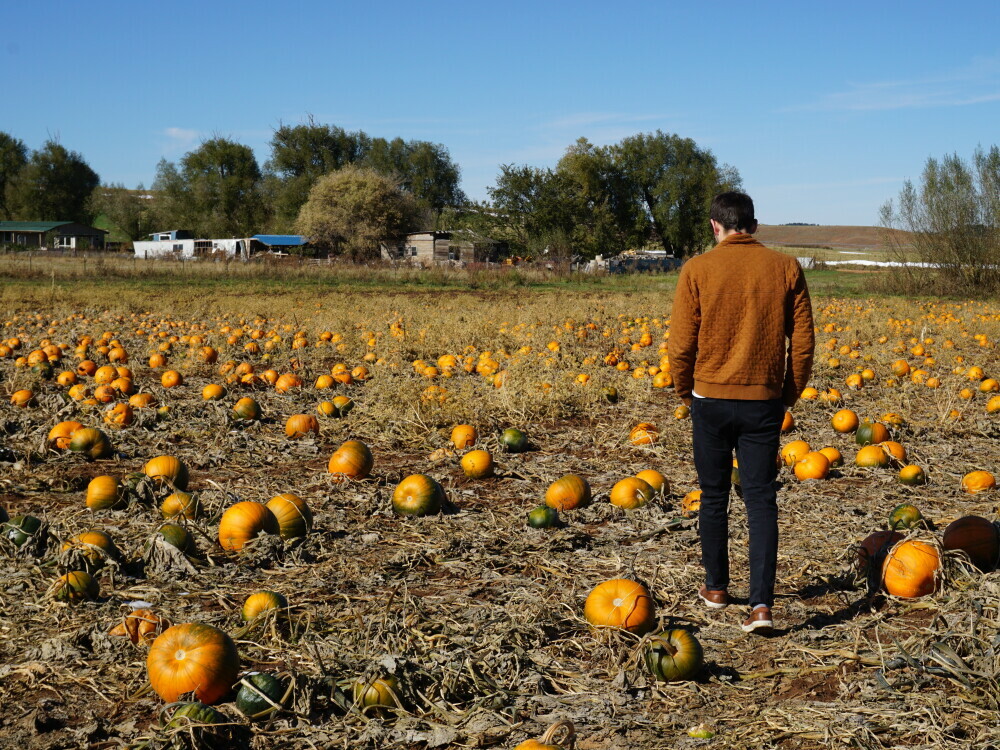 Spearfish Corn Maze and Pumpkin Patch Visit Spearfish Blog