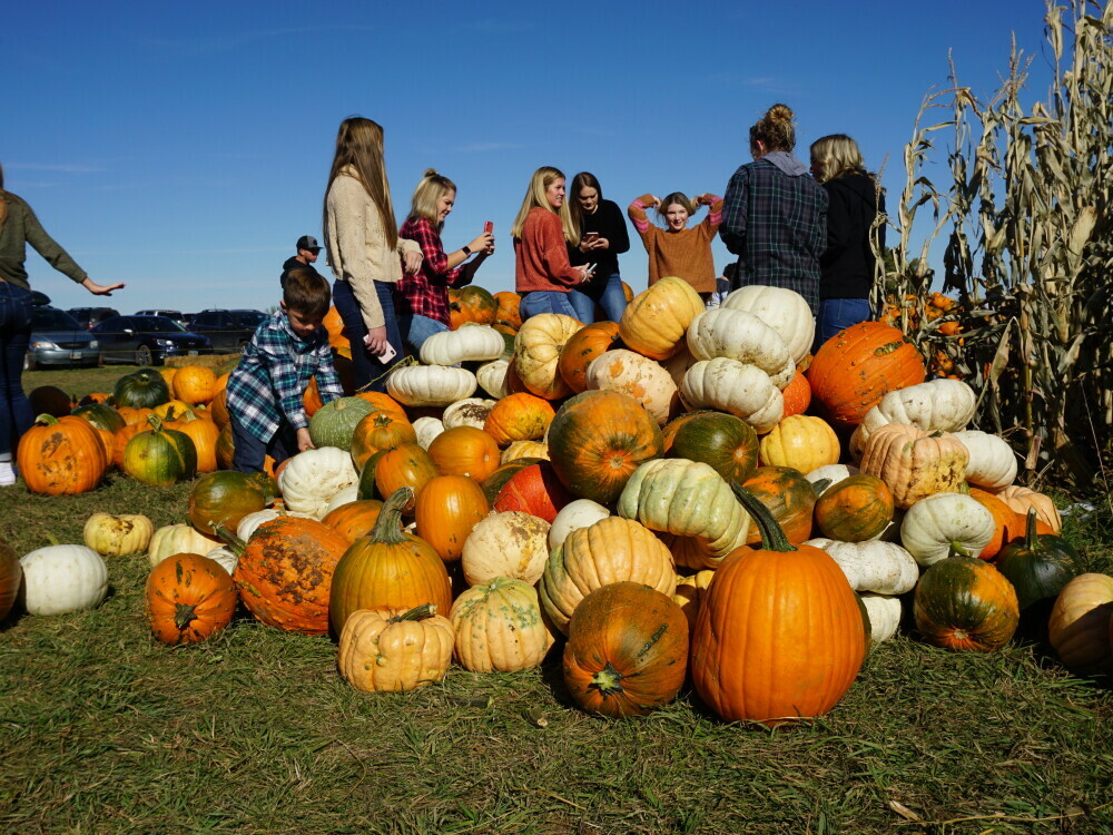 [High Resolution] Pumpkin Patch Spearfish Sd