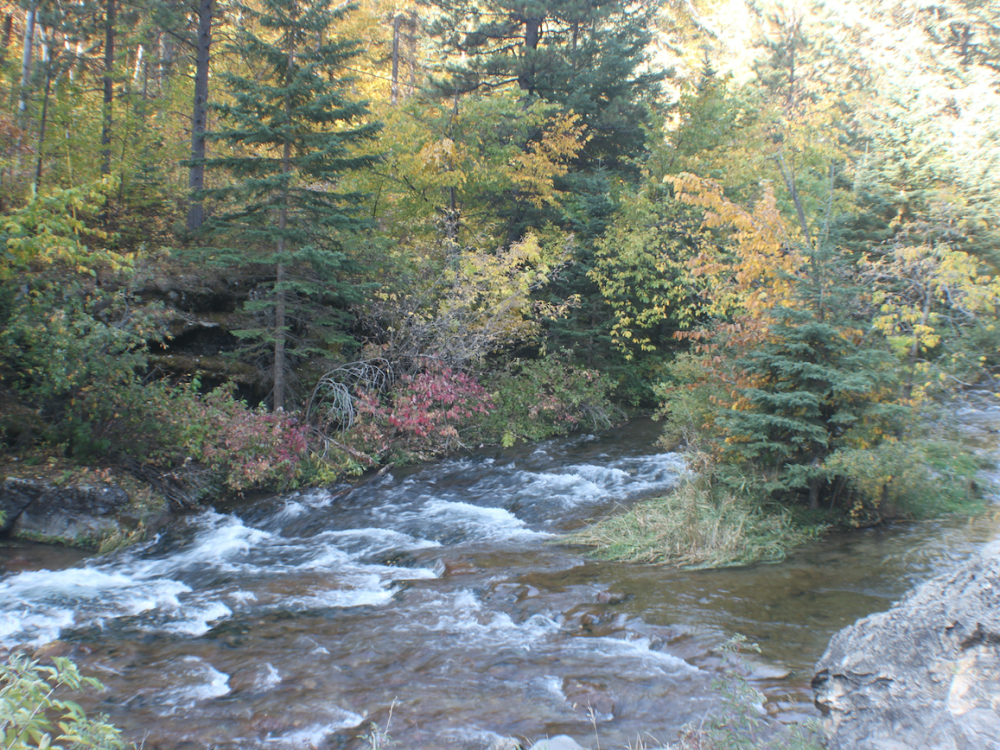 Spearfish Canyon Color Report
