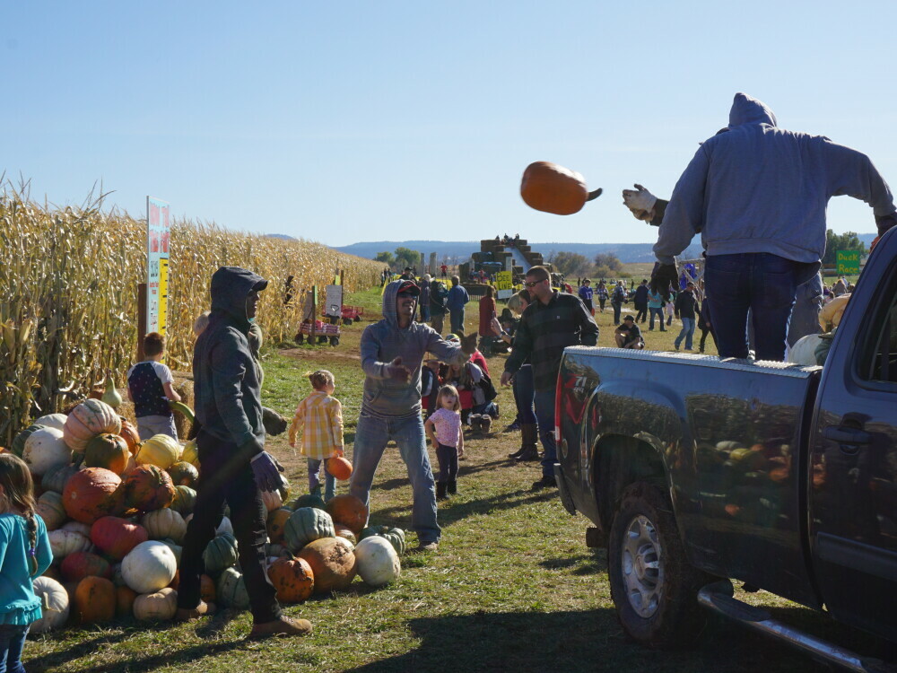 Spearfish Corn Maze and Pumpkin Patch Visit Spearfish Blog