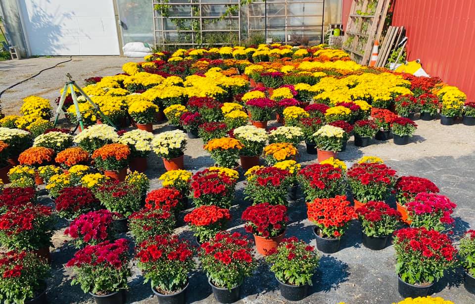 Garden Shed in Orland Steuben County Tourism Bureau