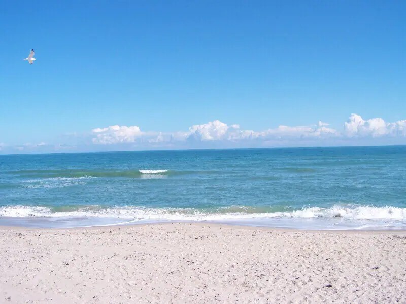 Guide to Beaches in St Lucie & Fort Pierce Visit St. Lucie