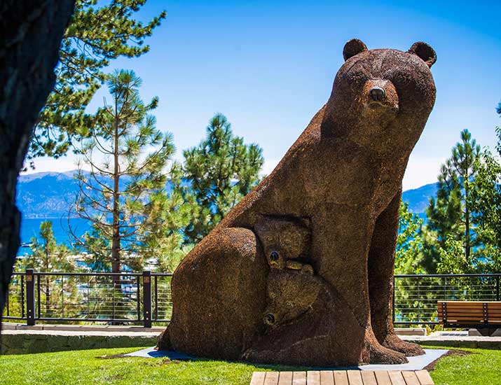 Bear Sighting at Heritage Plaza Tahoe City Downtown Association