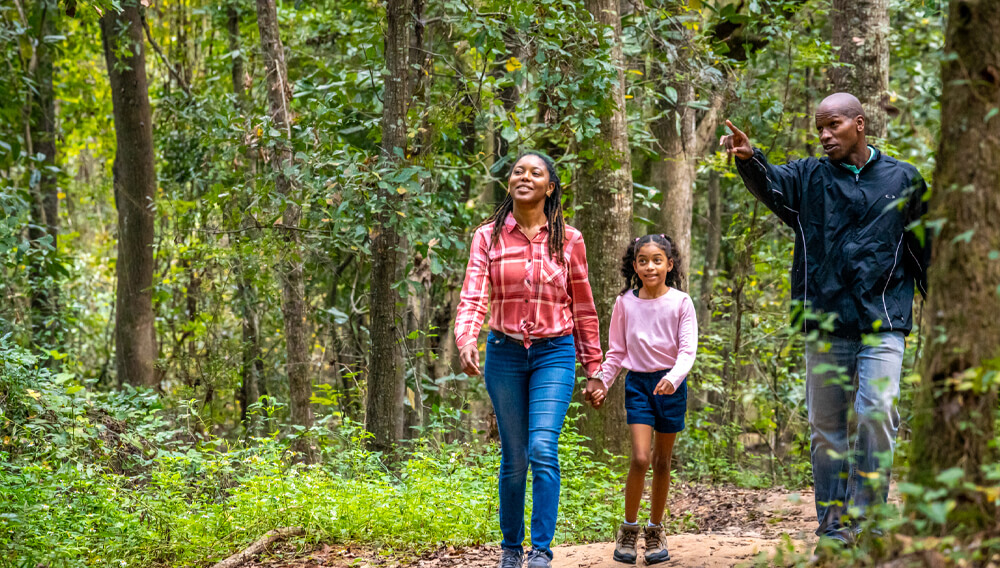 Piney Z Trail • Visit Tallahassee