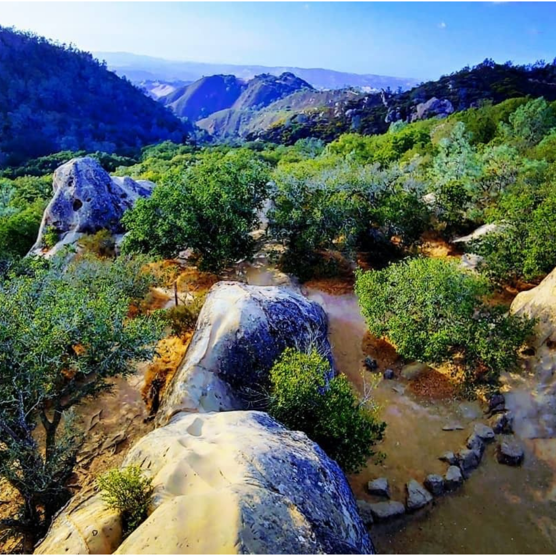 Are Dogs Allowed In Mount Diablo State Park