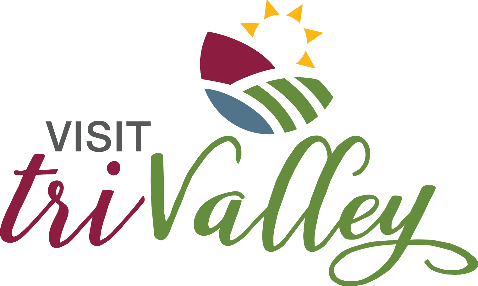 logo Visit TriValley