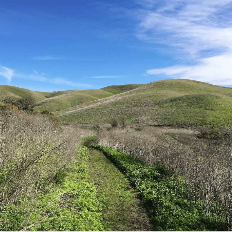 Untitled design (1) Visit TriValley