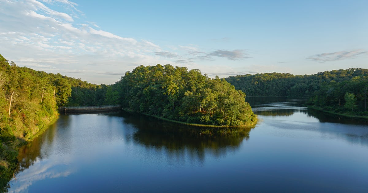 Harris Lake Hiking and swimming in Tuscaloosa