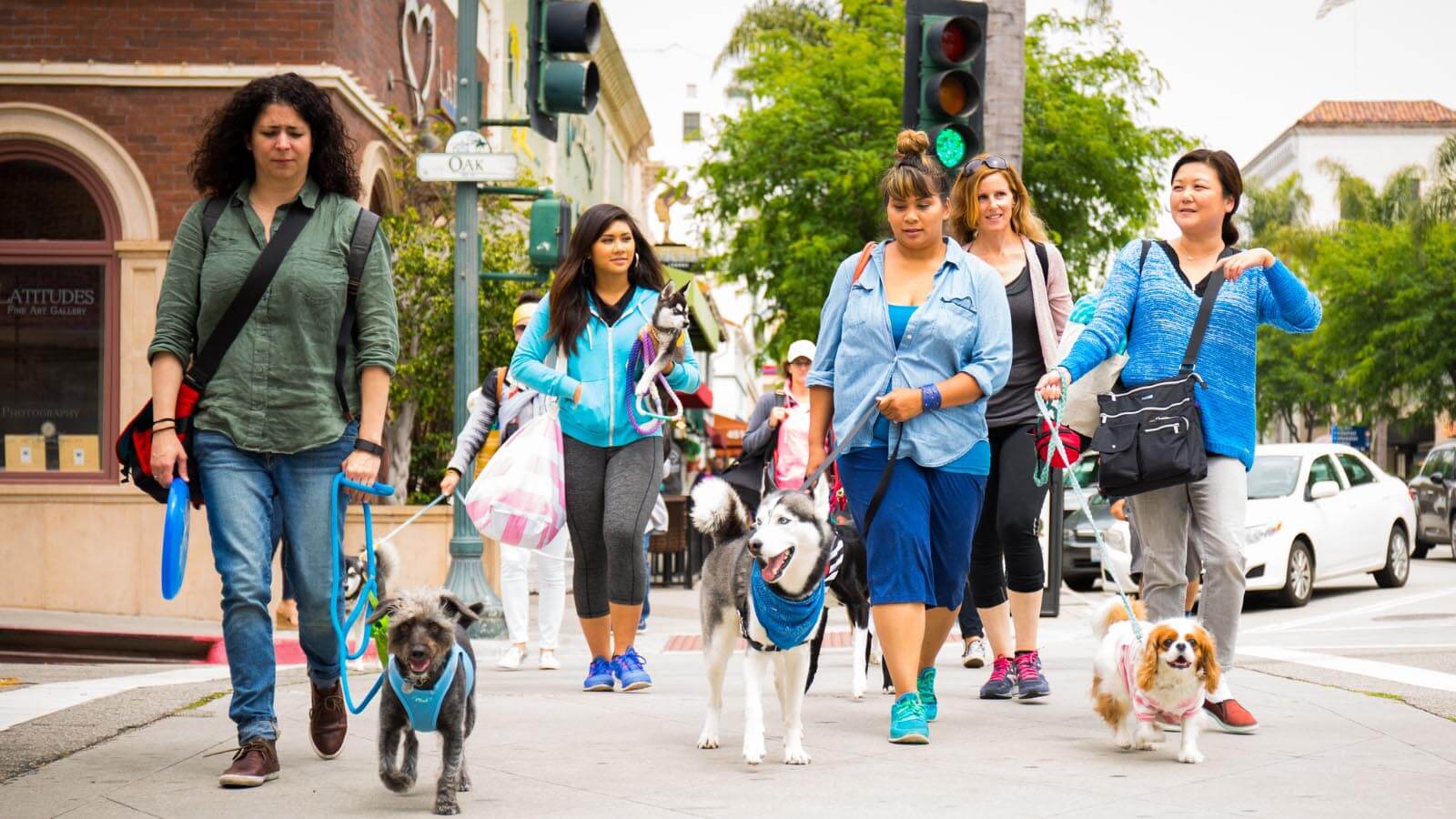 Is Ventura Beach Dog Friendly Find The Ventura Dog Beach