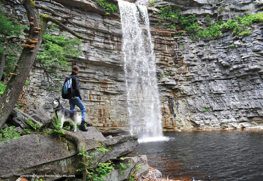 Hudson Valley Hikes with your Dog VISITvortex MAGAZINE ARTICLES