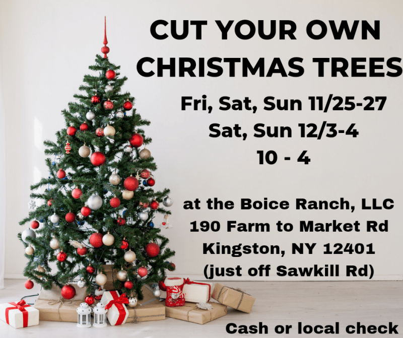 Events Upstate ny Hudson Valley Catskill Mountains Cut Your Own