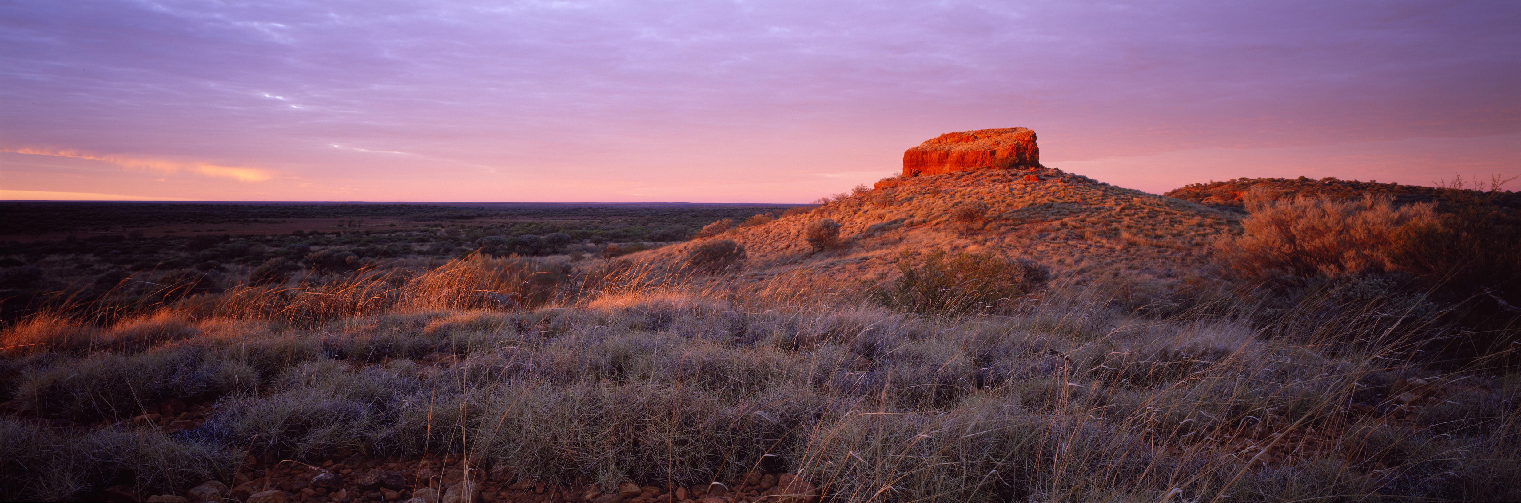 Newman Visit WA Online