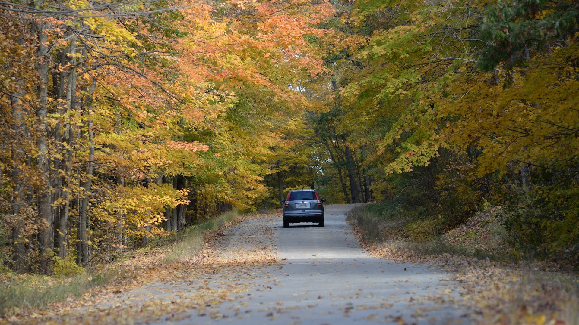 Where to see fall color in West Bend Visit West Bend, Wisconsin