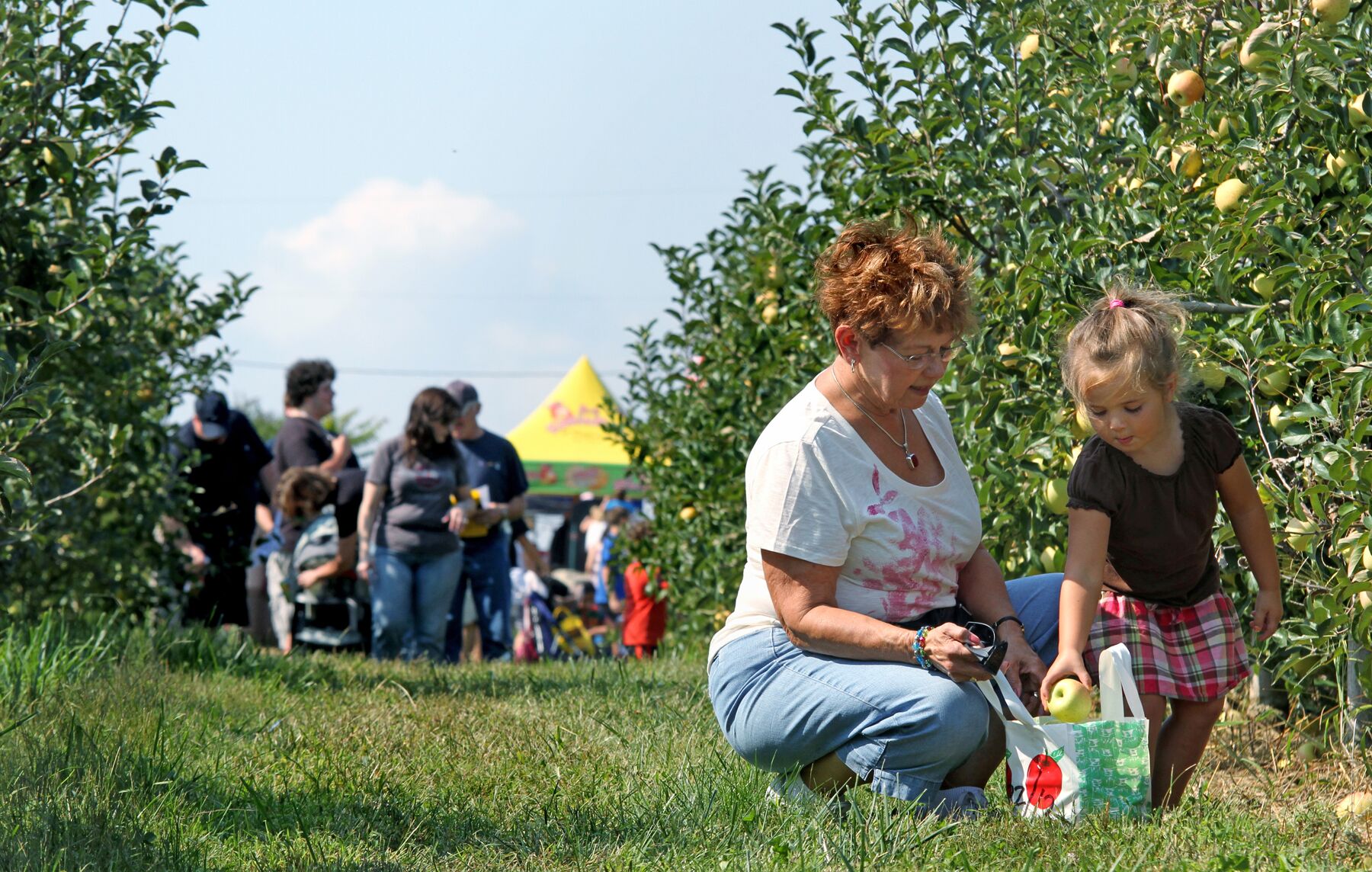 apple harvest festival 2023 winchester va 8 of Winchester's Can'tBeMissed Fall Festivals of 2019 Winchester