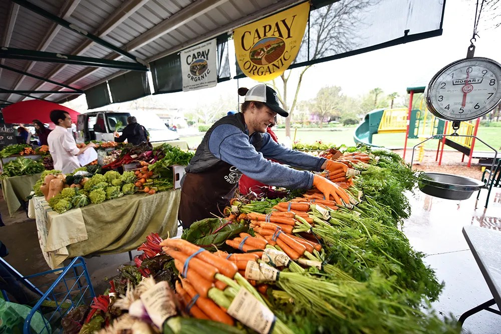 Davis Farmers Market America's Favorite Visit Yolo County California