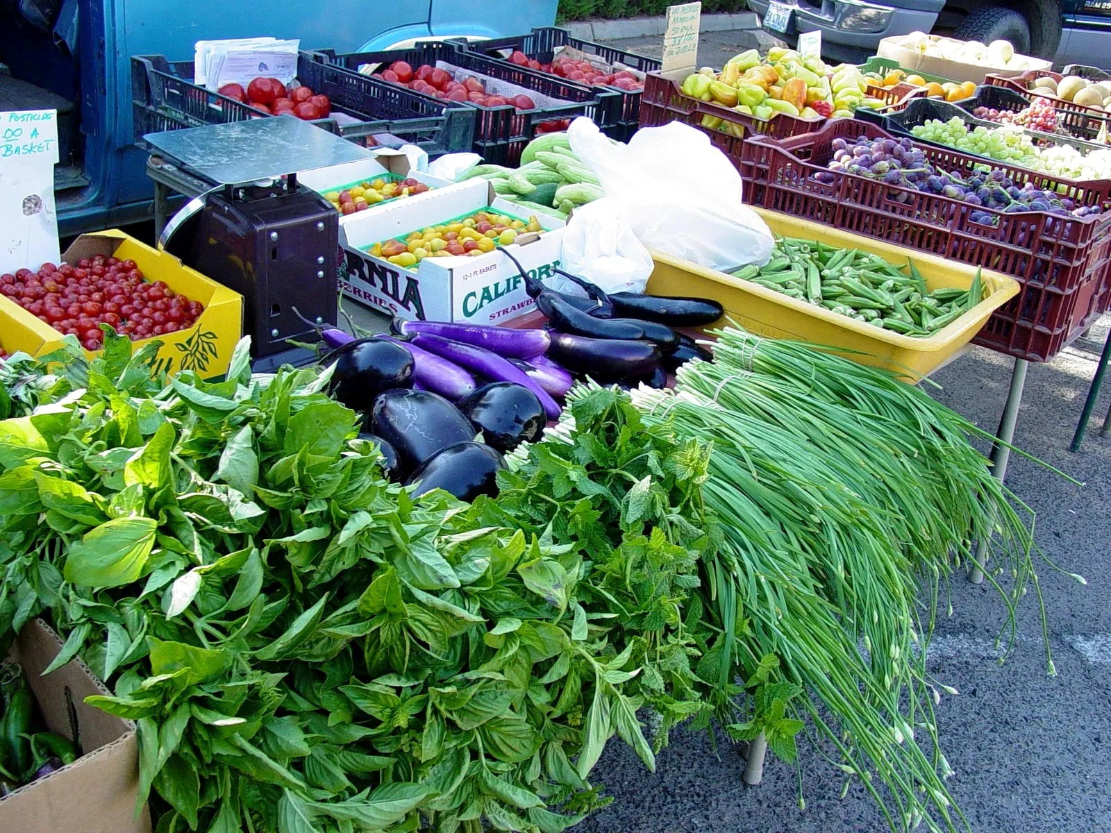 Davis Farmers Market Visit Yolo County California, Davis, Winters