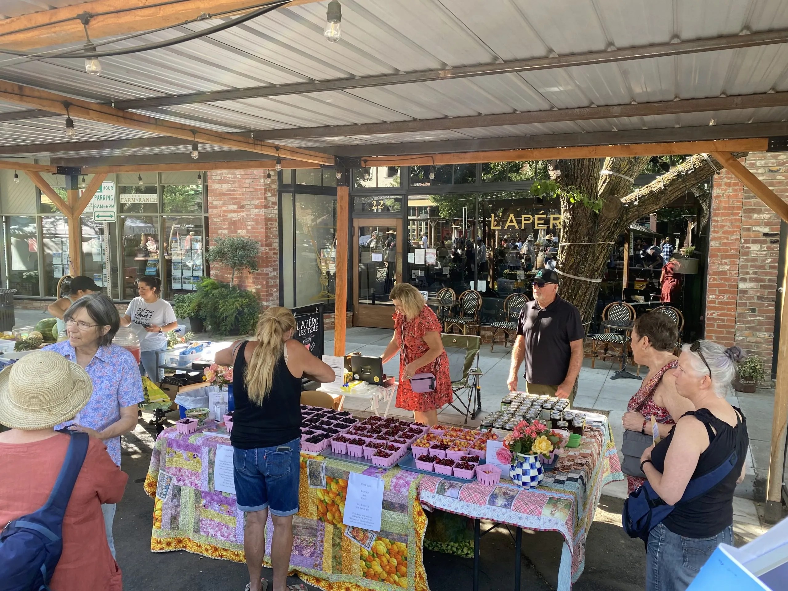 Winters Farmers Market Visit Yolo County California, Davis, Winters