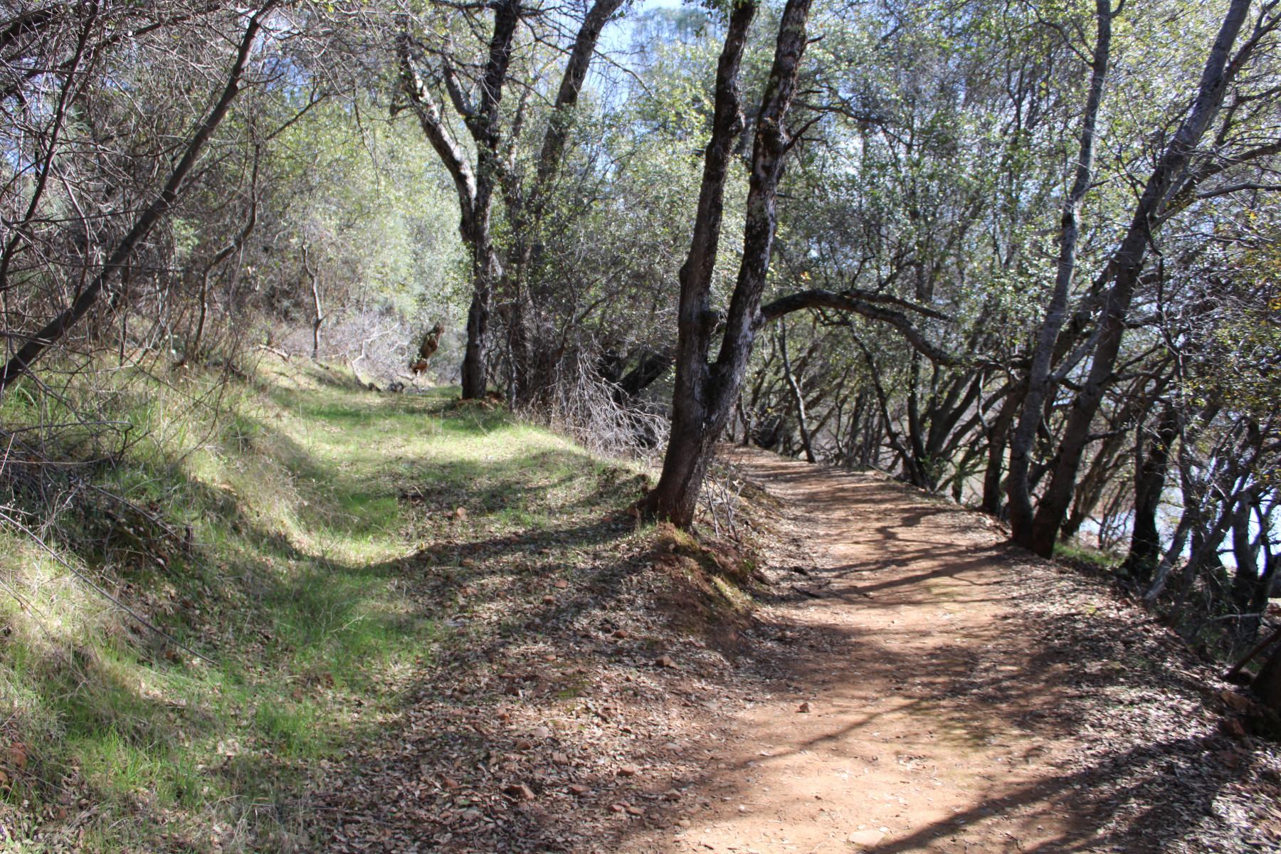Take A Hike 5 Top Trails In Yuba Sutter Visit Yuba Sutter