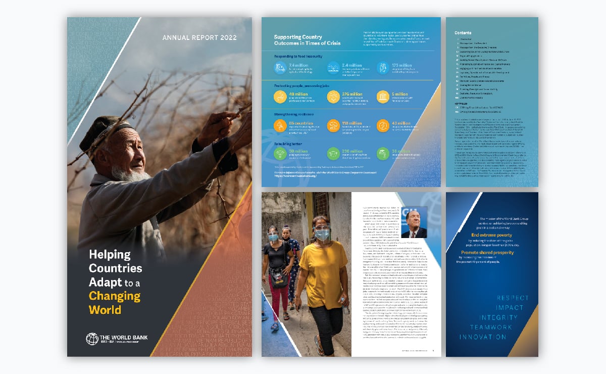 Annual Report Inside Pages