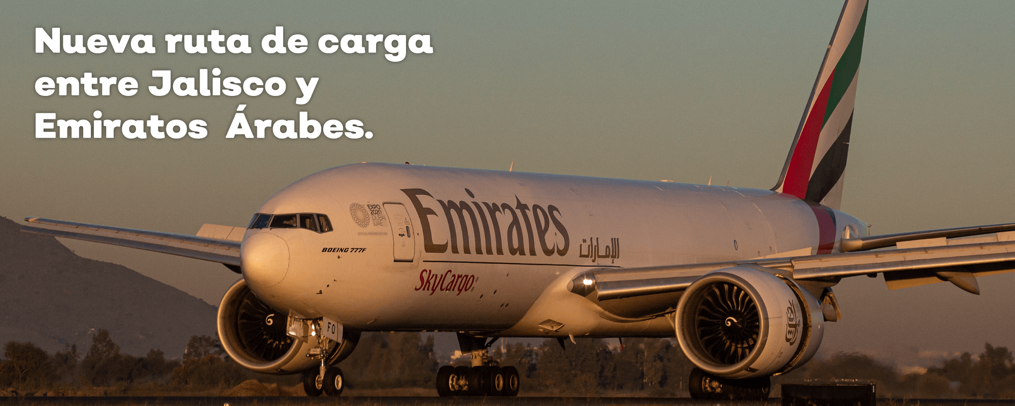 Visor Logístico Plataforma que integra a todos los actores del