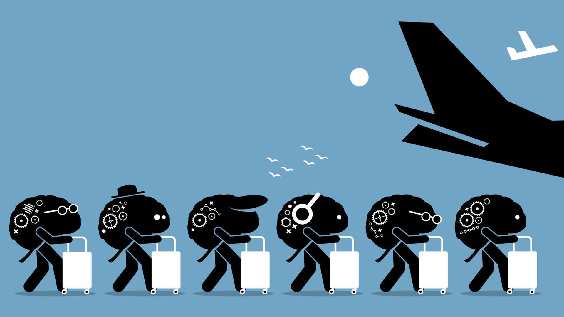 Brain Drain Explained Vista+