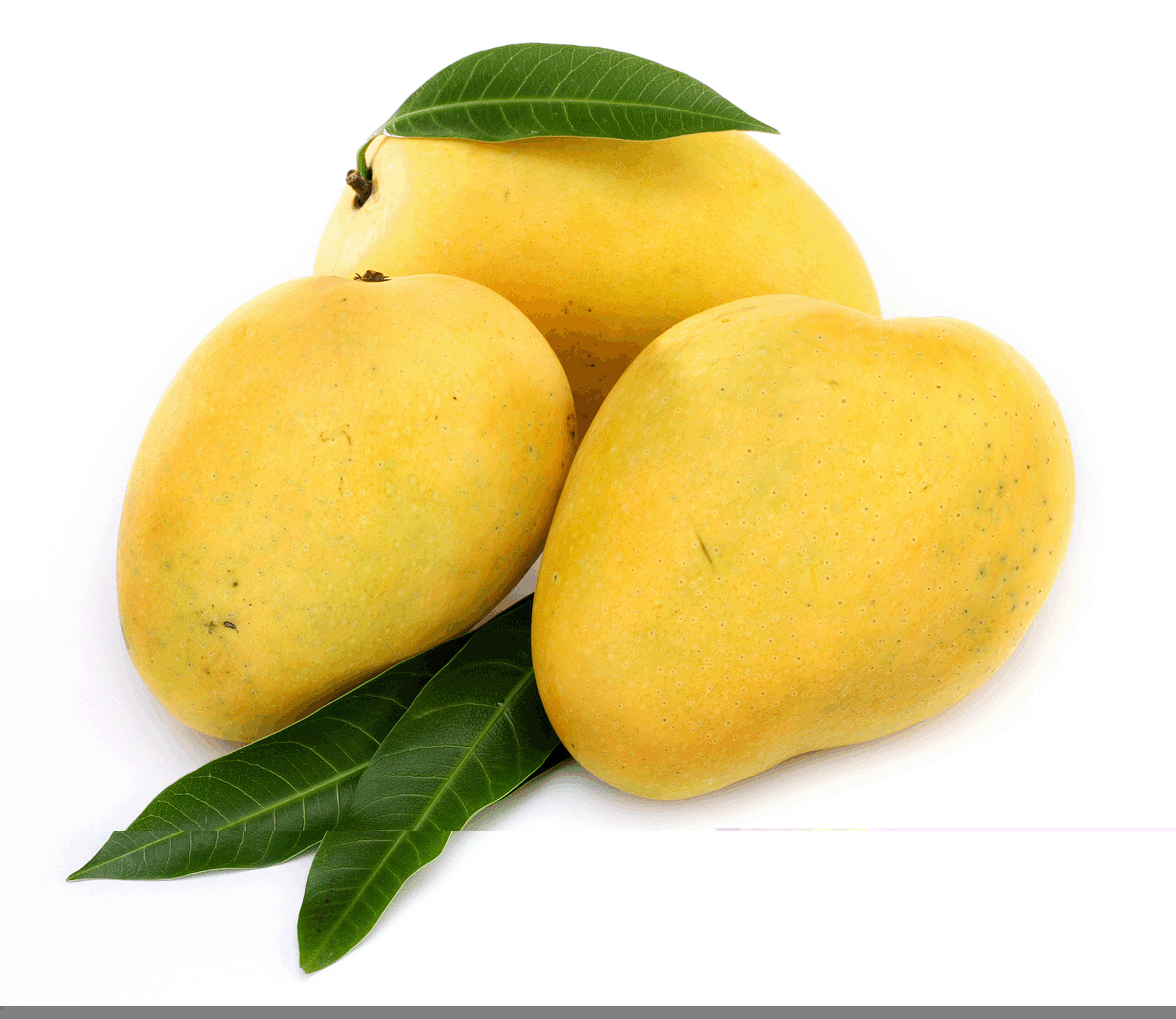 Mango wallpapers, Food, HQ Mango pictures 4K Wallpapers 2019