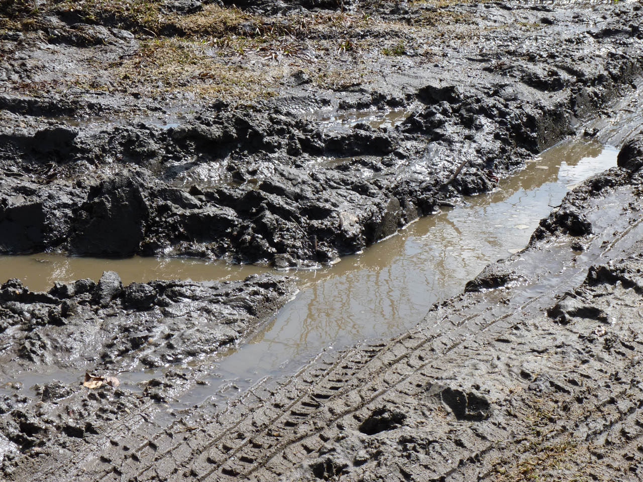 Mud wallpapers, Movie, HQ Mud pictures | 4K Wallpapers 2019