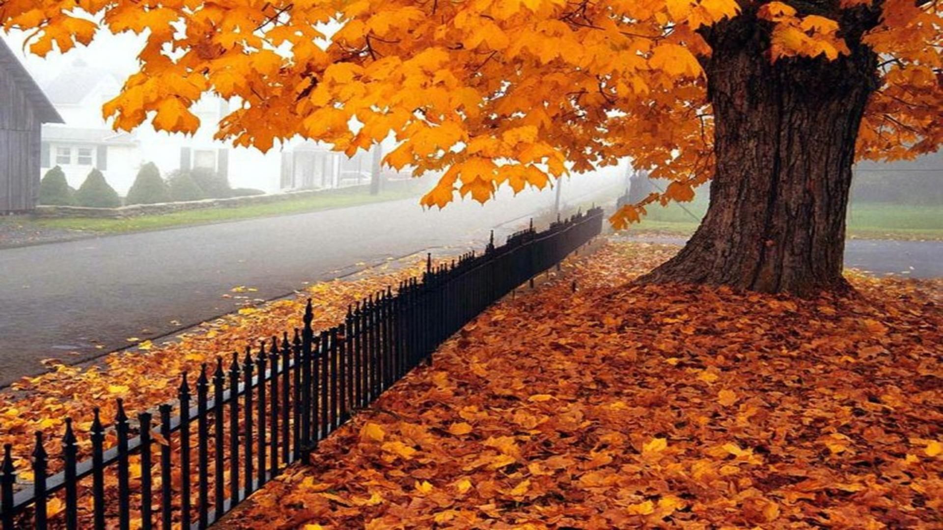 September wallpapers, Music, HQ September pictures 4K Wallpapers 2019