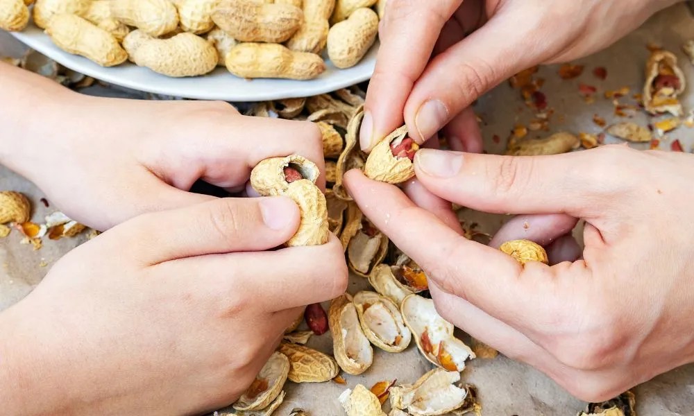 Peanuts Benefits ಚಳಿಗಾಲದಲ್ಲಿ ಬಿಸಿ ಬಿಸಿ ನೆಲಗಡಲೆ ತಿಂದರೆ ಆಗುವ