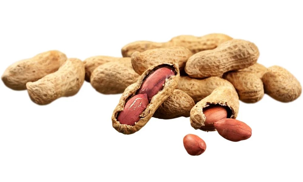 Peanuts Benefits ಚಳಿಗಾಲದಲ್ಲಿ ಬಿಸಿ ಬಿಸಿ ನೆಲಗಡಲೆ ತಿಂದರೆ ಆಗುವ