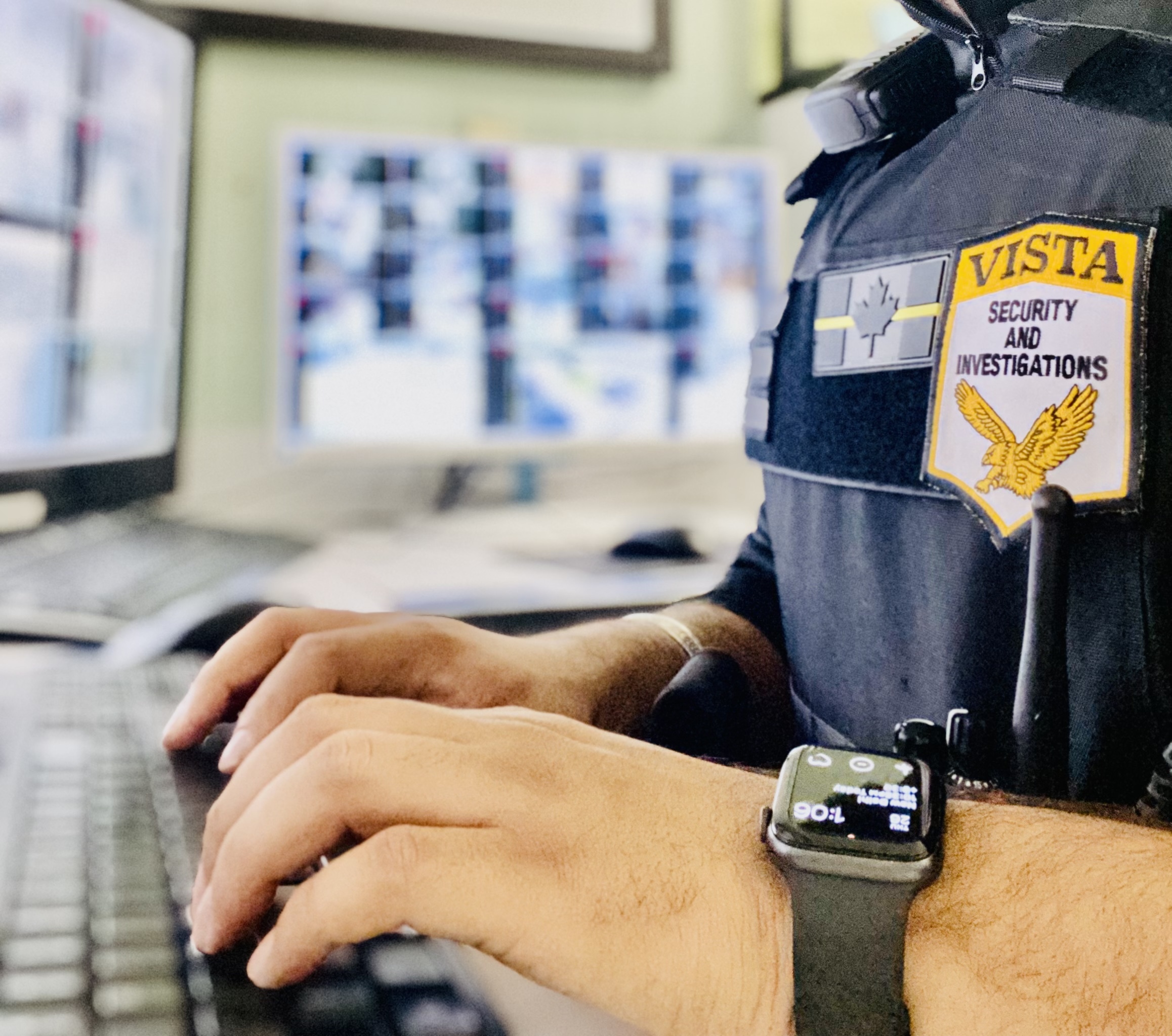 About Us Vista Security